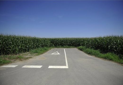 Román-magyar miniszteri megbeszélés a kukoricatáblába vezető út miatt