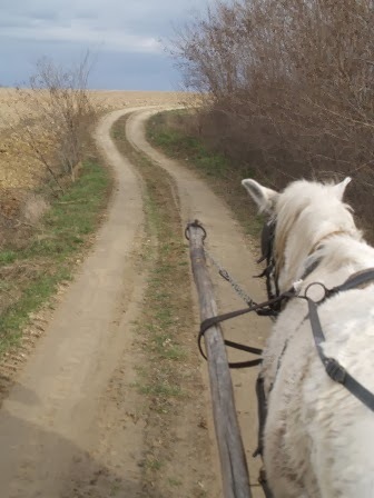 A székely: ezt még sosem!…