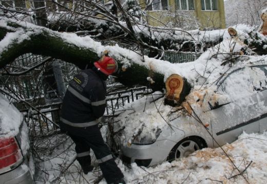 Maros megye 70 településén nincs áramellátás, 37 fa kidőlt a hóvihar következtében