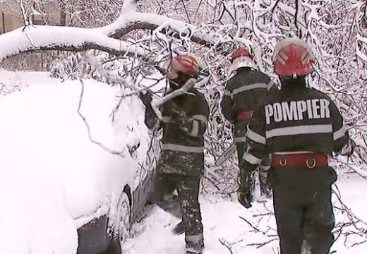 Hóvihar: 3 autót megrongált egy kidőlt fa Marosvásárhelyen – 2000 fogyasztó áram nélkül Maros megyében