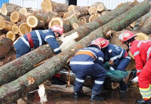 “Szerencsétlen incidens”: meghalt egy 19 éves fiú a Schweighofer rétyi fafeldolgozójában