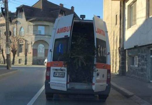 Megbírságoltak egy mentőst, mert fenyőfát szállított a mentőautóval