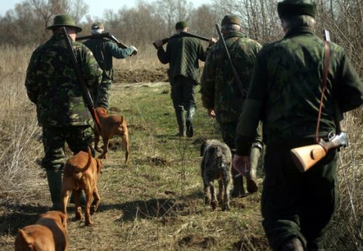 Kilőnék a Küküllő-menti falvakban garázdálkodó medvéket és farkasokat