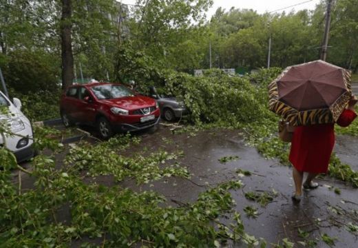 Kidőlt fák, megrongálódott autók: a pusztító vihar következményei