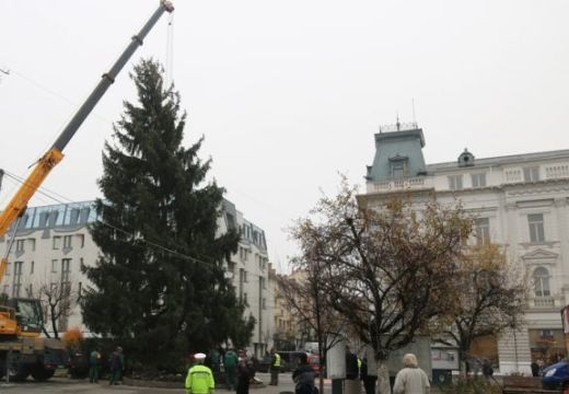 “Újrahasznosított” karácsonyfája lesz idén Marosvásárhelynek