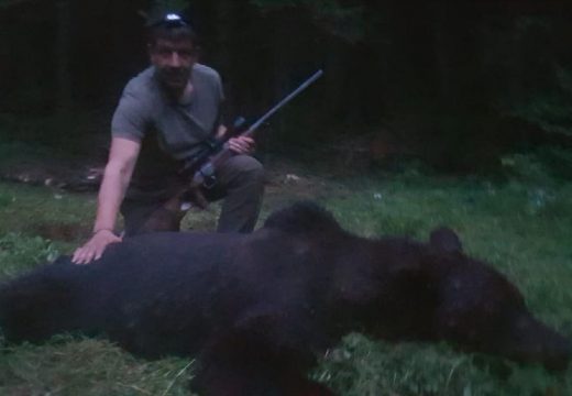 Kilőtték a gyermekvédelmi központba betörő medvét