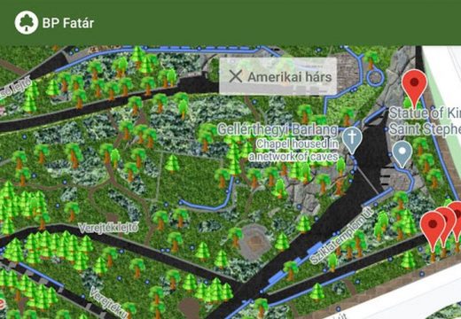 Ingyenesen letölthető Budapest nyilvános fa- és parkkataszter applikációja