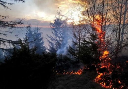 Mintegy 15 hektáron lángol az erdő Gyergyónál