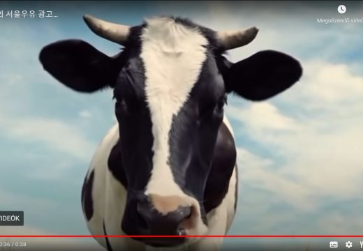 Tehénként ábrázolták a nőket a reklámban – videó