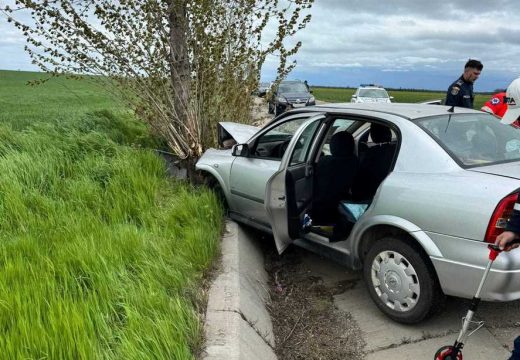 Az idős nő életét vesztette, miután fának ütköztek – 74 éves férfi vezette a kocsit