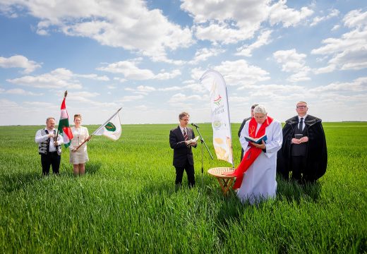Magyarok Kenyere program: Kárpát-medencei búzaszentelő ünnepség volt Zentán