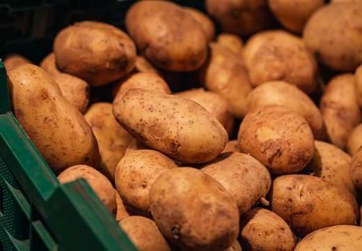 Tánczos Barna: négyszeresére nőhet a burgonyatermelők támogatása