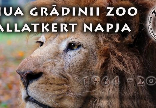 Ingyenes belépéssel ünnepli 62. születésnapját a marosvásárhelyi állatkert