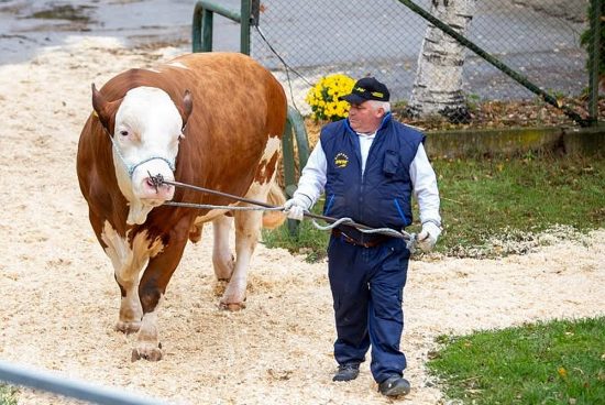 A közönség Woernitzet választotta a Bikák Parádéja idei győztesének