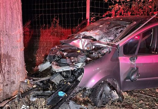 Meghalt a 71 éves sofőr, miután fának csapódott autójával