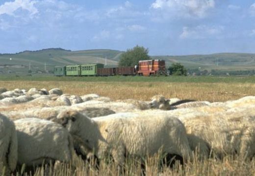 Újjáindulhat a vasúti közlekedés Marosvásárhely és Szováta között
