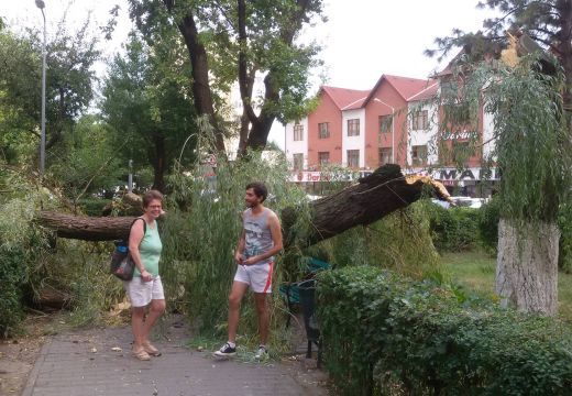Letépte a vihar a házak tetejét – kidőlt fák Marosvásárhelyen