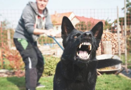 Ráuszította kutyáját a rendőrökre az ittas férfi
