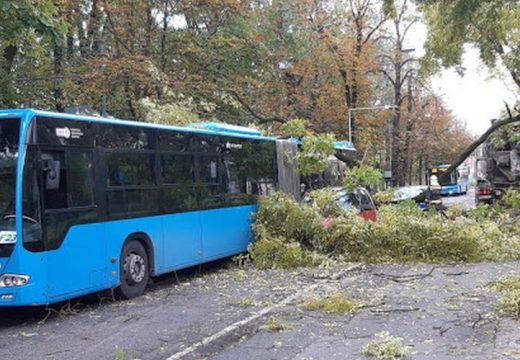 Fa dőlt egy buszra – mentőt kértek a helyszínre