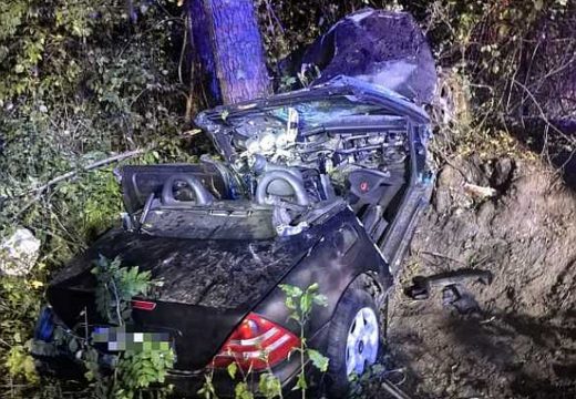 Meghalt a 19 éves fiatal, miután fának csapódott autójával
