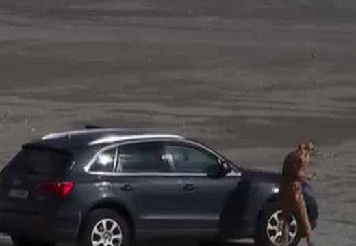 Tízezer lejes bírságot kapott egy nő, aki autóval a tengerpartra hajtott